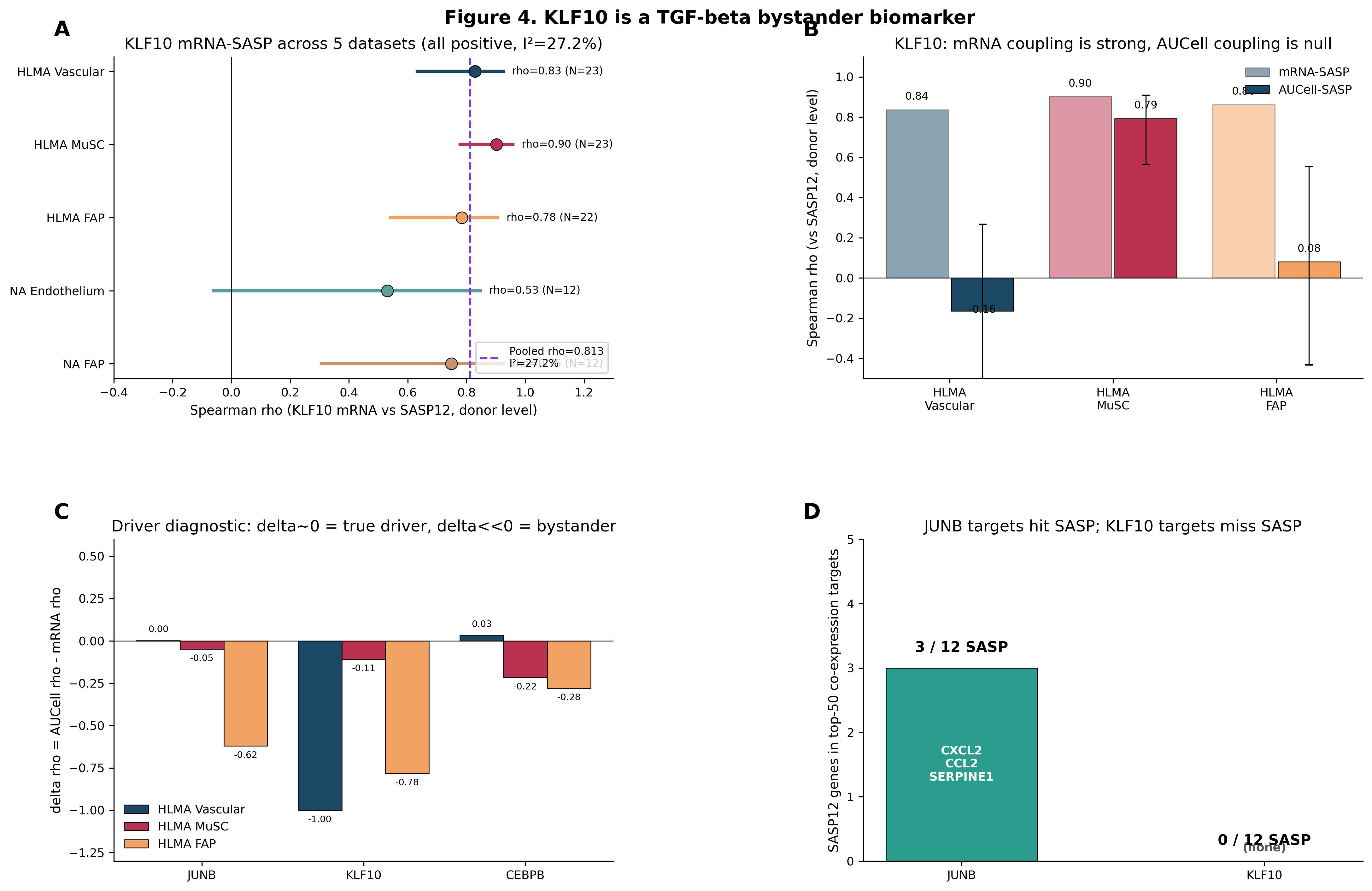 Figure 4: KLF10 is a bystander biomarker