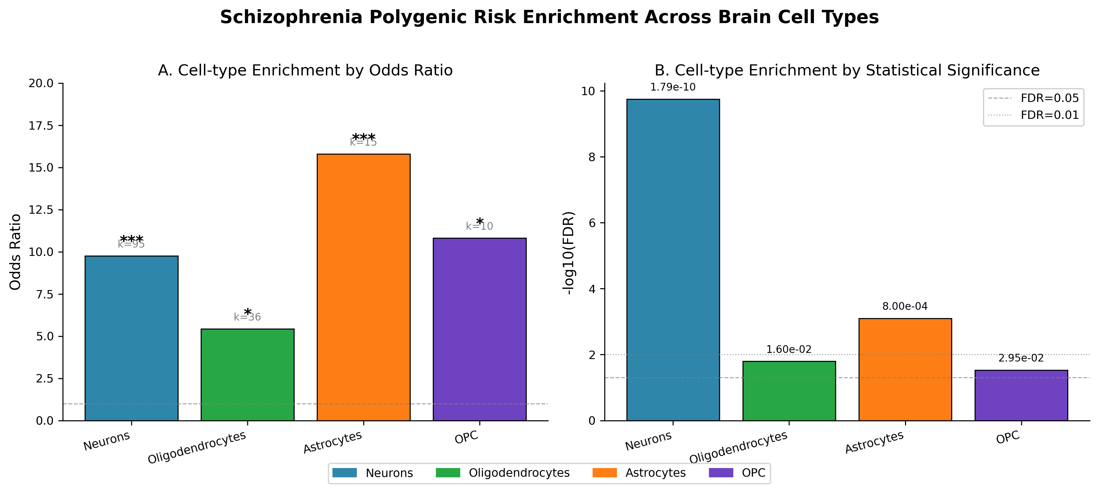 Cell-type enrichment across SCZ GWAS gene sets. Neurons show the strongest and most reproducible enrichment across multiple marker sets and analytical frameworks.